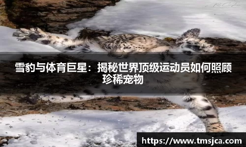 米兰体育