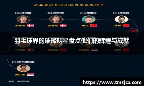 羽毛球界的璀璨明星盘点他们的辉煌与成就